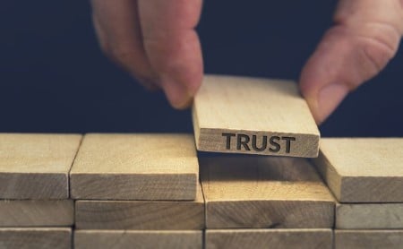 Wooden building blocks of trust