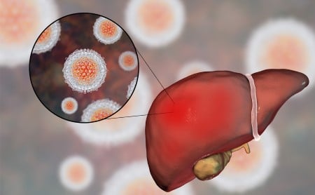 Illustration of a liver and hepatitis C molecules