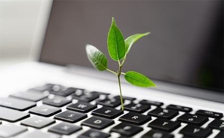 Young stem with three leaves growing out of a laptop keyboard