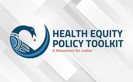Stylized bird illustration next to Health Equity Policy Toolkit