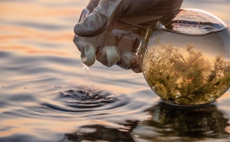 Hand in latex glove over water, holding a clear collection bottle with algae growth in it