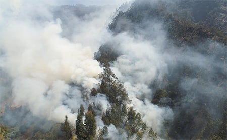 Where There’s Fire, There’s Smoke—States Prepare for Health Impacts of ...